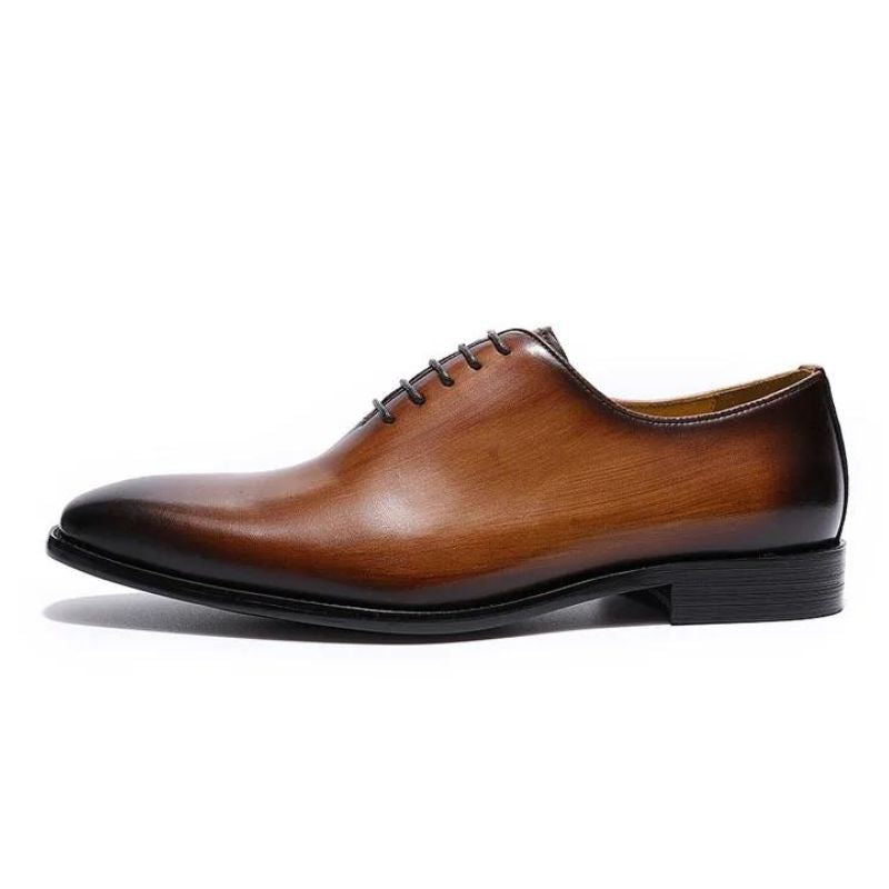 chaussure homme bout pointu, chaussure homme dégradé, chaussure de ville élégante, chaussure formelle homme, chaussure homme moderne