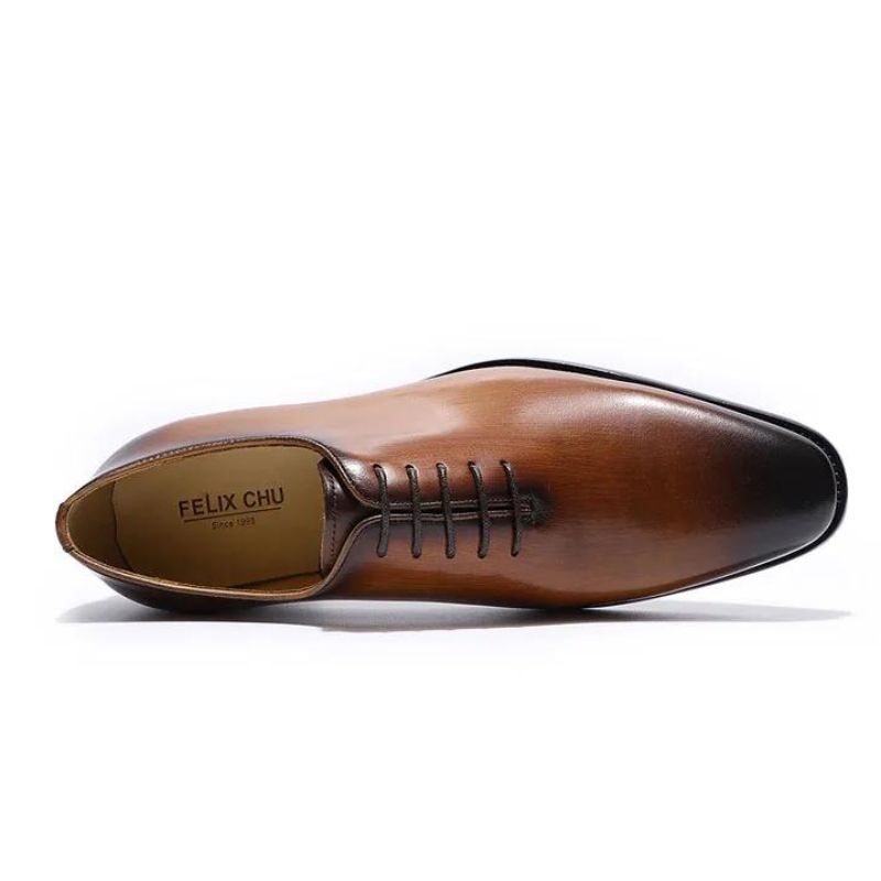 chaussure homme bout pointu, chaussure homme dégradé, chaussure de ville élégante, chaussure formelle homme, chaussure homme moderne