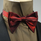 nœud papillon classique, nœud papillon élégant, accessoire homme pour occasions spéciales, nœud papillon en coton, nœud papillon sophistiqué