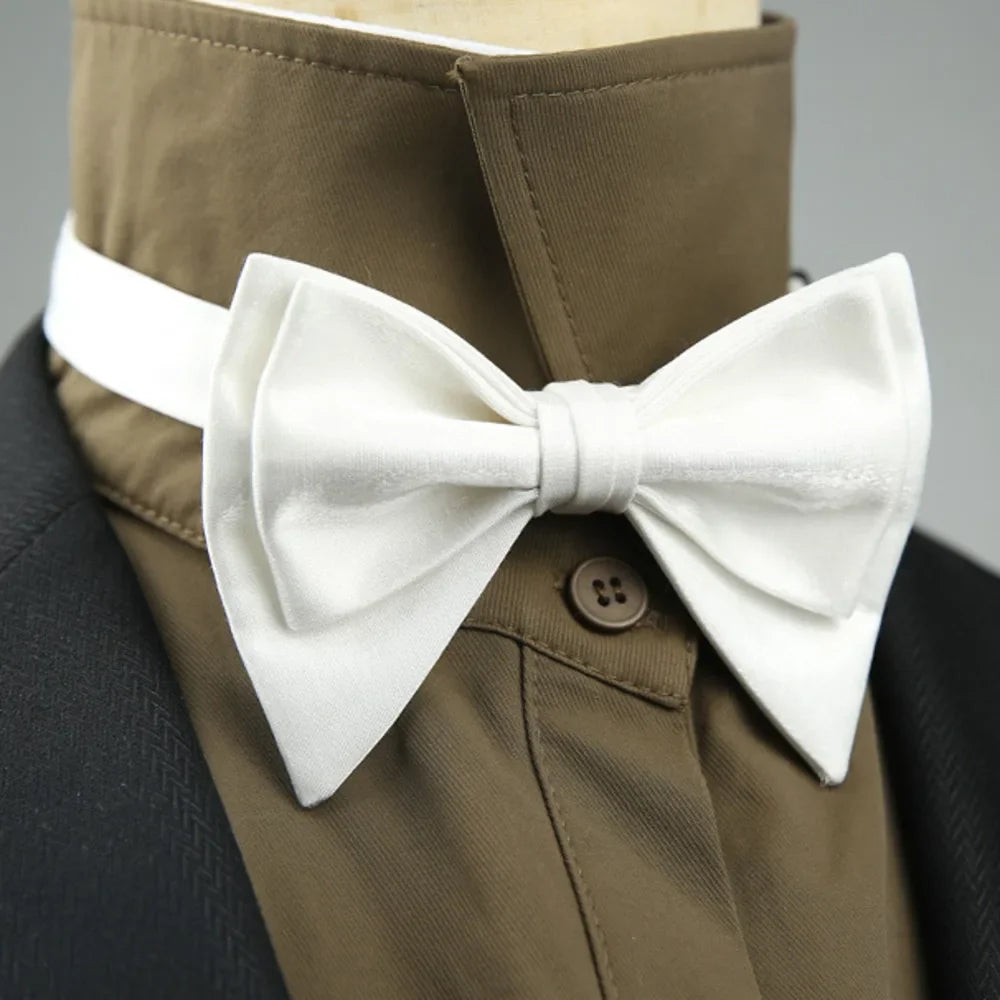 nœud papillon classique, nœud papillon élégant, accessoire homme pour occasions spéciales, nœud papillon en coton, nœud papillon sophistiqué