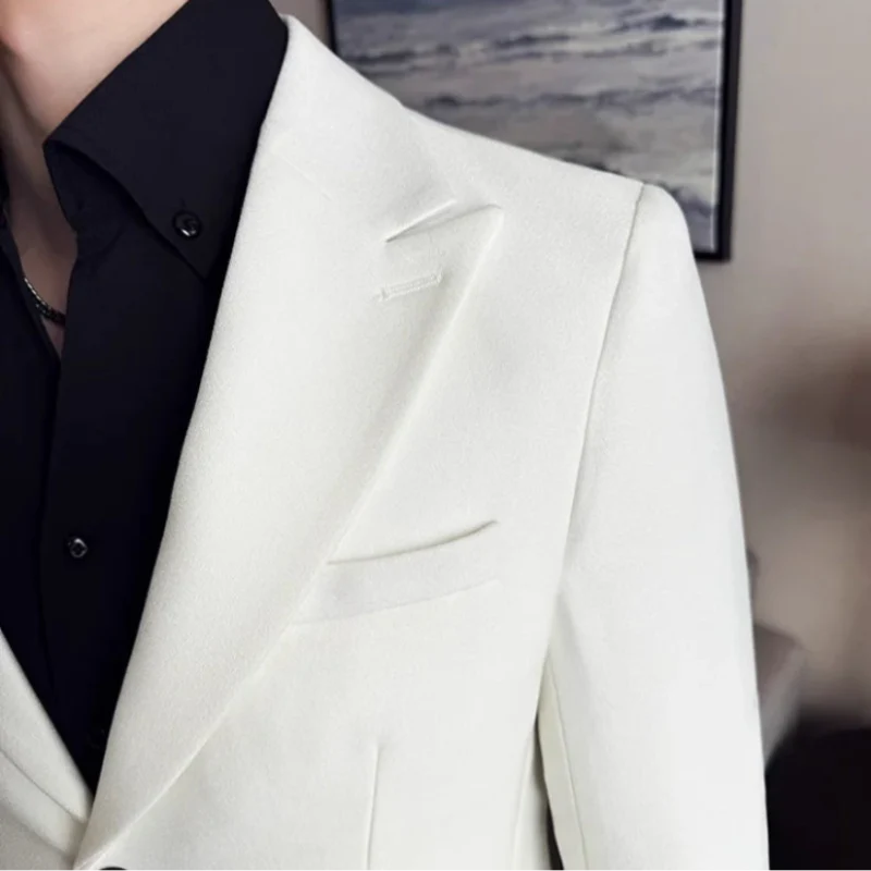 Blazer ajusté pour homme, Blazer homme coupe slim, Blazer homme Maximus, blazer homme, blazer à revers pointu

